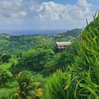 Kingstown (Saint Vincent)