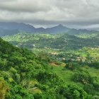 Kingstown (Saint Vincent)