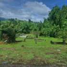 Kingstown (Saint Vincent)