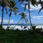 Kingstown (Saint Vincent)