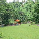 Kingstown (Saint Vincent)